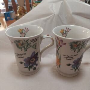 Vintage set of 2 "Dahlia" Floral Mugs